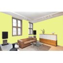 Auro Wandfarbe 555 - Colours for life - bright green 15
