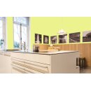 Auro Wandfarbe 555 - Colours for life - bright green 15