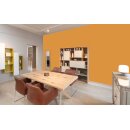 Auro Wandfarbe 555 - Colours for life - bright mandarine
