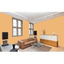 Auro Wandfarbe 555 - Colours for life - bright mandarine 10