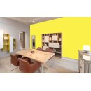 Auro Wandfarbe 555 - Colours for life - brilliant yellow 05