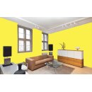 Auro Wandfarbe 555 - Colours for life - brilliant yellow 05
