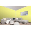 Auro Wandfarbe 555 - Colours for life - brilliant yellow 15