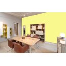 Auro Wandfarbe 555 - Colours for life - brilliant yellow 15