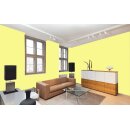 Auro Wandfarbe 555 - Colours for life - brilliant yellow 15