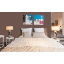 Auro Wandfarbe 555 - Colours for life - cacao brown