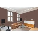 Auro Wandfarbe 555 - Colours for life - cacao brown