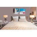 Auro Wandfarbe 555 - Colours for life - cacao brown 10