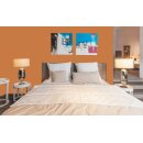 Auro Wandfarbe 555 - Colours for life - dark mandarine