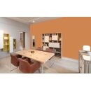 Auro Wandfarbe 555 - Colours for life - dark mandarine 05