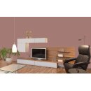 Auro Wandfarbe 555 - Colours for life - deep hazelnut 10