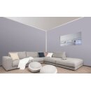 Auro Wandfarbe 555 - Colours for life - evening grey 10