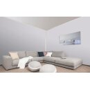 Auro Wandfarbe 555 - Colours for life - evening grey 20