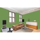 Auro Wandfarbe 555 - Colours for life - fern