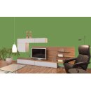 Auro Wandfarbe 555 - Colours for life - fern