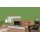 Auro Wandfarbe 555 - Colours for life - fern