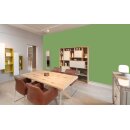 Auro Wandfarbe 555 - Colours for life - fern 05