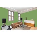 Auro Wandfarbe 555 - Colours for life - fern 05