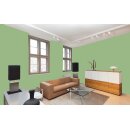 Auro Wandfarbe 555 - Colours for life - fern 10