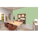 Auro Wandfarbe 555 - Colours for life - fern 15