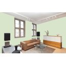 Auro Wandfarbe 555 - Colours for life - fern 25