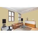 Auro Wandfarbe 555 - Colours for life - forest clearing 15