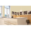 Auro Wandfarbe 555 - Colours for life - forest clearing 20