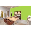 Auro Wandfarbe 555 - Colours for life - frog green