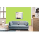 Auro Wandfarbe 555 - Colours for life - frog green 05