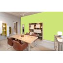 Auro Wandfarbe 555 - Colours for life - frog green 10