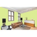Auro Wandfarbe 555 - Colours for life - frog green 15