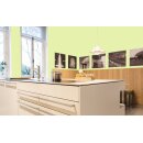 Auro Wandfarbe 555 - Colours for life - frog green 20