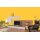 Auro Wandfarbe 555 - Colours for life - golden honey