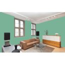 Auro Wandfarbe 555 - Colours for life - good woodruff 05