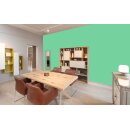 Auro Wandfarbe 555 - Colours for life - green lizard 05