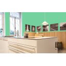 Auro Wandfarbe 555 - Colours for life - green lizard 05