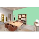 Auro Wandfarbe 555 - Colours for life - green lizard 10