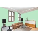 Auro Wandfarbe 555 - Colours for life - green lizard 15