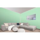 Auro Wandfarbe 555 - Colours for life - green lizard 15