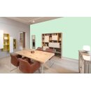 Auro Wandfarbe 555 - Colours for life - green lizard 20