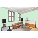 Auro Wandfarbe 555 - Colours for life - green lizard 20
