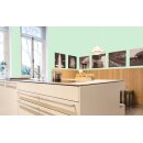 Auro Wandfarbe 555 - Colours for life - green lizard 20