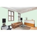 Auro Wandfarbe 555 - Colours for life - green lizard 25