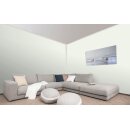 Auro Wandfarbe 555 - Colours for life - green whisper