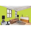 Auro Wandfarbe 555 - Colours for life - green yellow