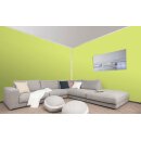 Auro Wandfarbe 555 - Colours for life - green yellow 10