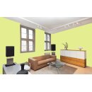 Auro Wandfarbe 555 - Colours for life - green yellow 15