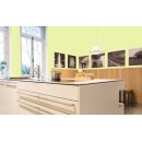Auro Wandfarbe 555 - Colours for life - green yellow 20