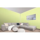 Auro Wandfarbe 555 - Colours for life - green yellow 20