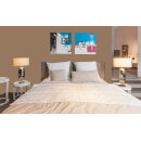 Auro Wandfarbe 555 - Colours for life - hazelnut 05